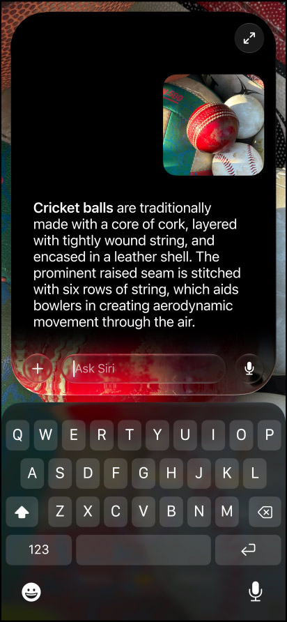 Apple Intelligence running a visual query on an iPhone interface